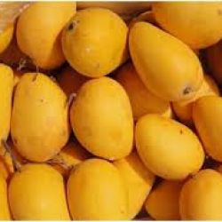 Mango Badami