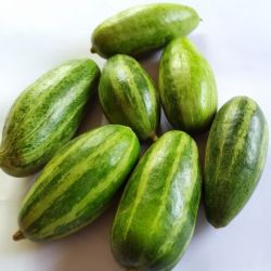 Organic Pointed Gourd (Parval) 