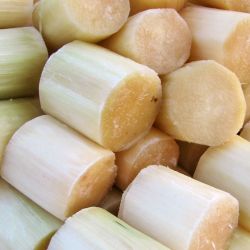 Sugarcane (peeled pieces) 
