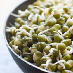 Sprouts Moong