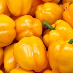 Organic Yellow Capsicum (bell pepper)