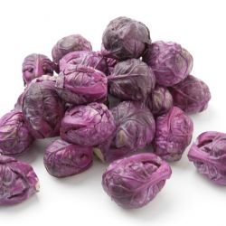 Organic Red Cabbage (Red Brussels)