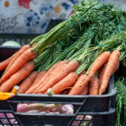 Carrots  (Indian fresh)
