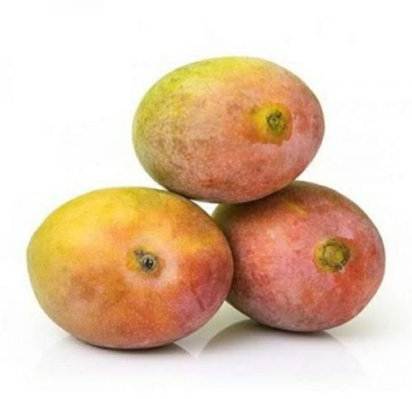 Mango Lalbag