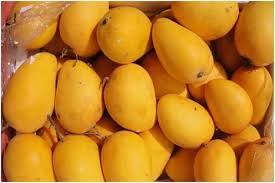 Mango Badami