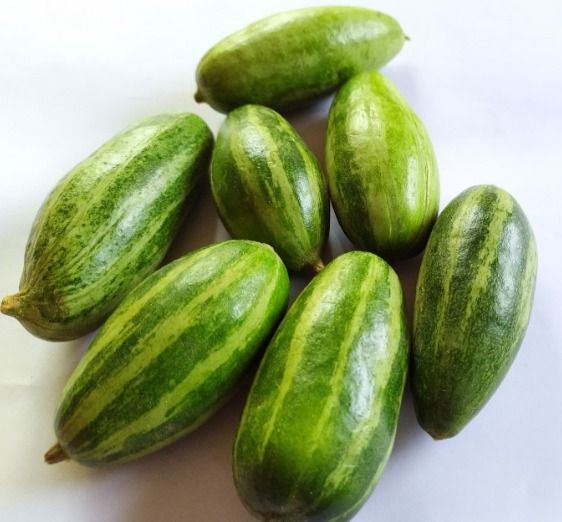 Organic Pointed Gourd (Parval) 