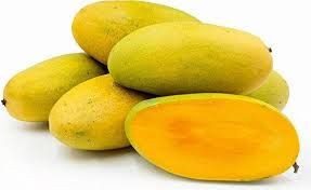 Organic Mango Mallika