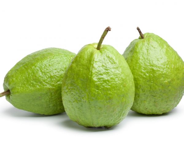 Guava