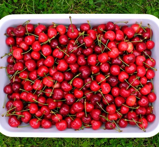 Cherry Berries  