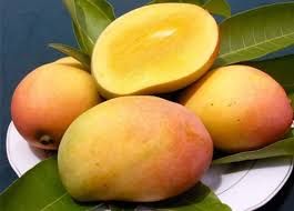 Organic Mango Rajapuri 