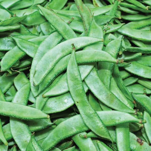 Green Flat Beans (broad beans/ val papdi/ hyacinth beans) 