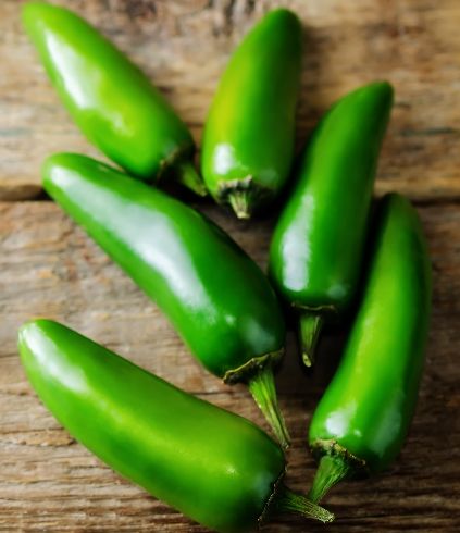 Fresh Jalapeno Peppers 